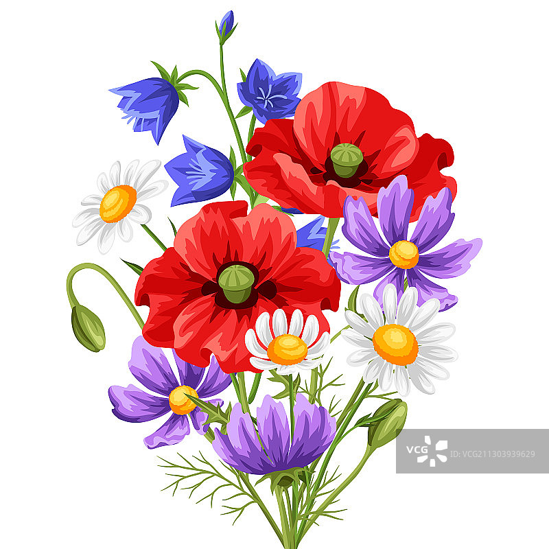 夏季花束图片素材