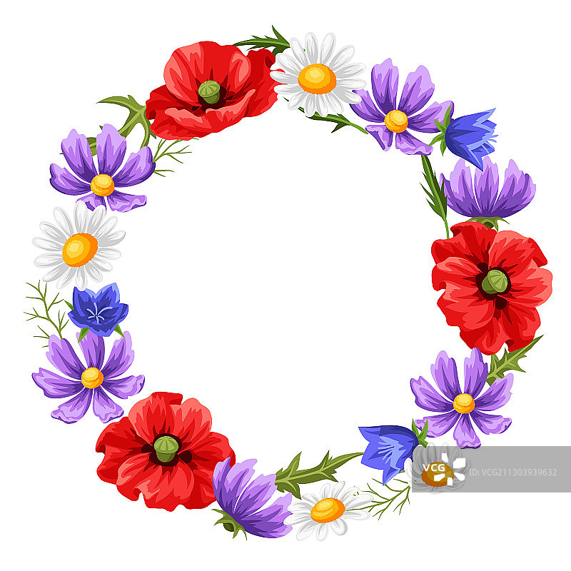 夏季花卉边框图片素材