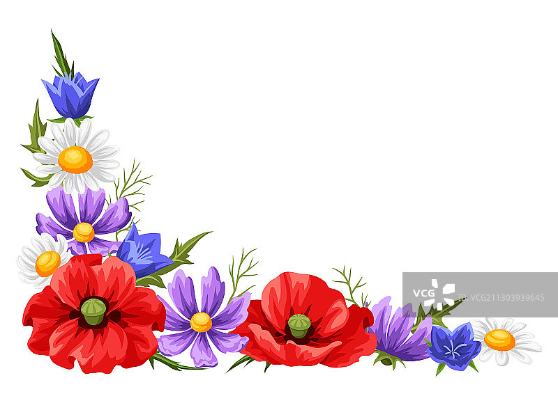 夏季花卉装饰元素图片素材