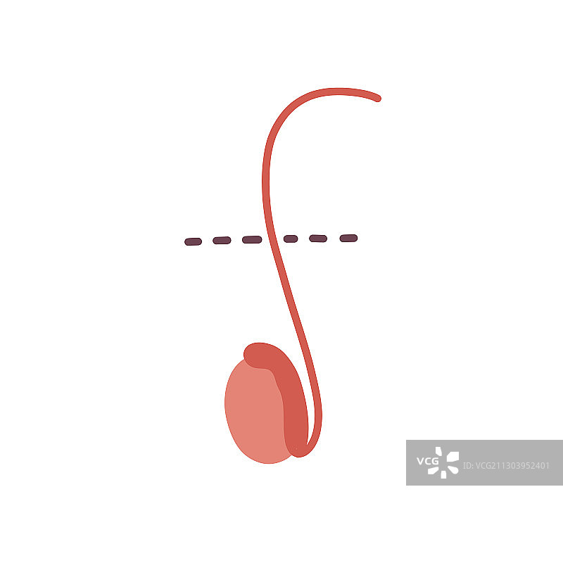 输精管结扎术涂鸦图标图片素材