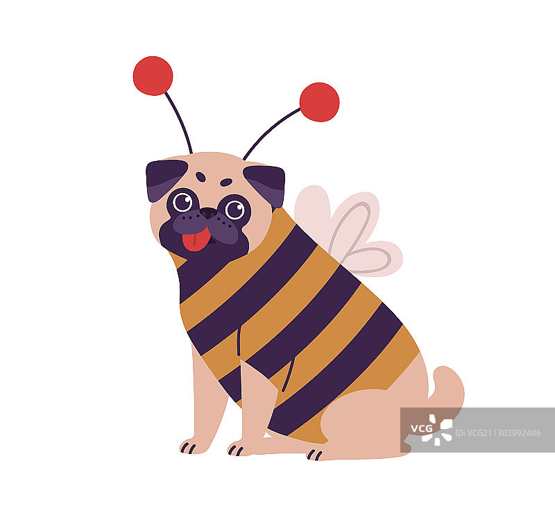 蜜蜂服装的可爱巴哥犬图片素材