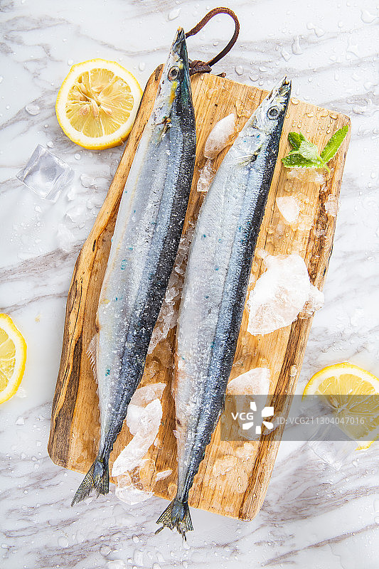 小清新风格秋刀鱼图片素材