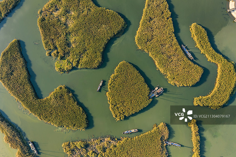 苏州太湖西山清晨风景图片素材