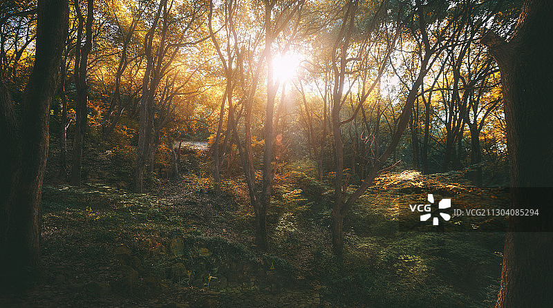 天池山图片素材