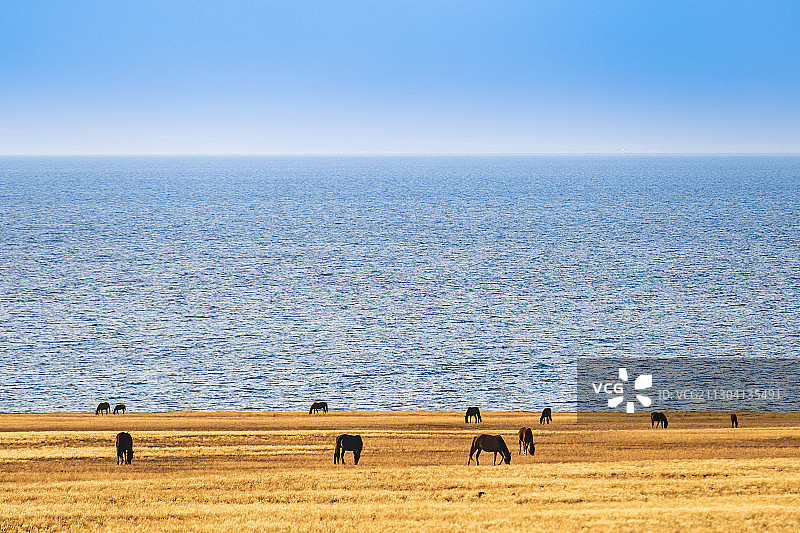 中国新疆博尔塔拉蒙古自治州博乐市赛里木湖旅游风景区图片素材