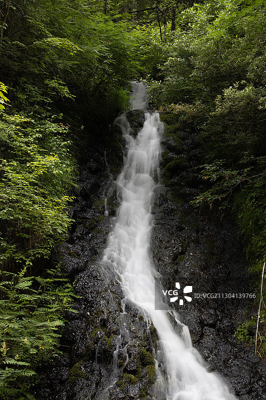 长白山望天鹅夏季风光图片素材