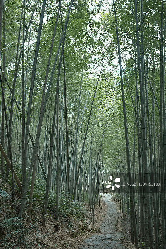 西山公园 杭州图片素材