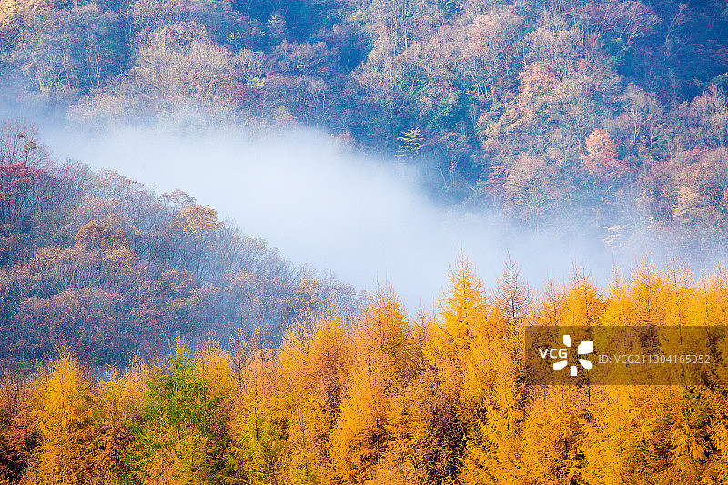 中国光雾山图片素材