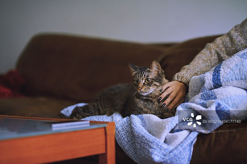 生病的女人躺在沙发上，宠爱她的猫图片素材