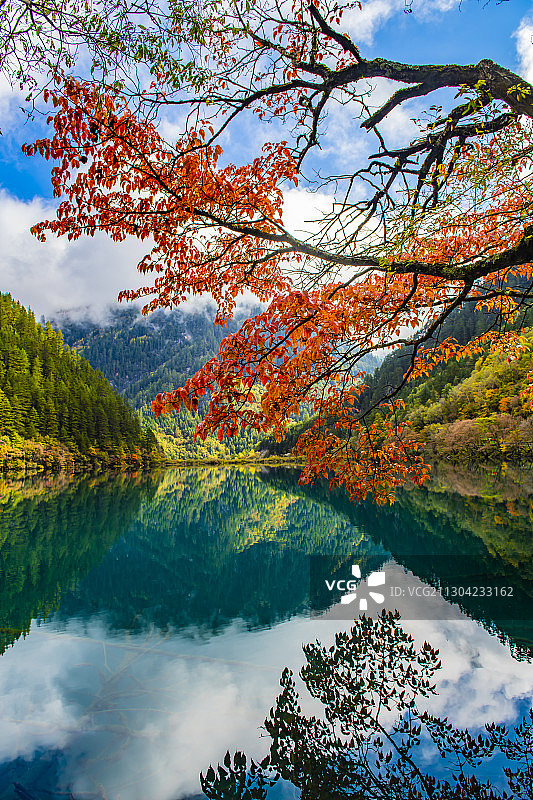 镜海繁花似锦图片素材