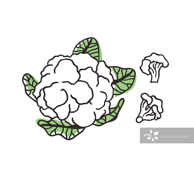 涂鸦卷心菜花椰菜手绘时尚图片素材