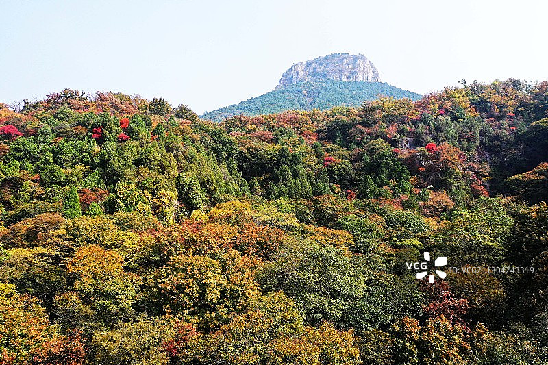 山东枣庄抱犊崮国家森林公园图片素材