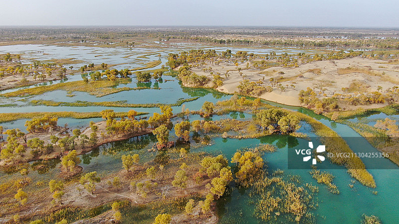 塔里木河秋韵图片素材