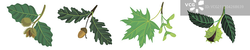 树枝树木图片素材