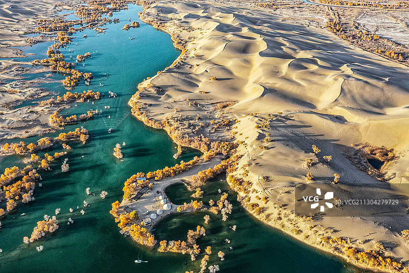航拍新疆巴州尉犁县葫芦岛金色胡杨图片素材