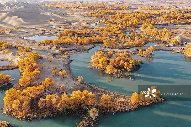 航拍新疆尉犁县33团葫芦岛胡杨图片素材