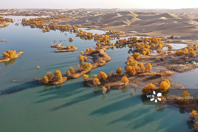 航拍新疆尉犁县33团葫芦岛胡杨图片素材