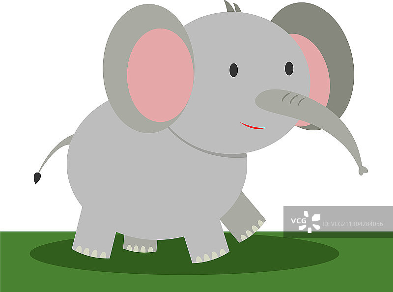 白色背景上的大象图片素材