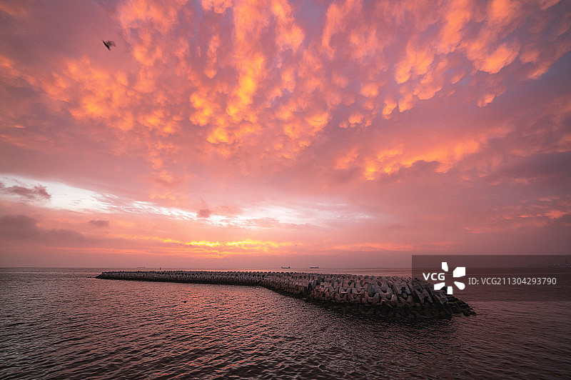 日出时的海景图片素材