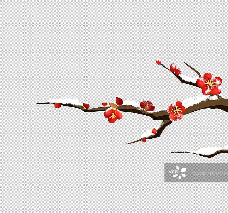 梅花图片素材