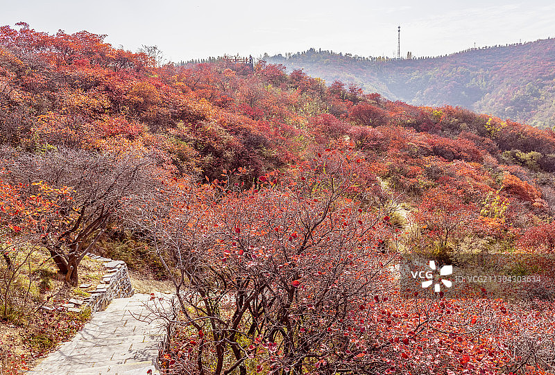 中国河南省巩义市长寿山风景区图片素材