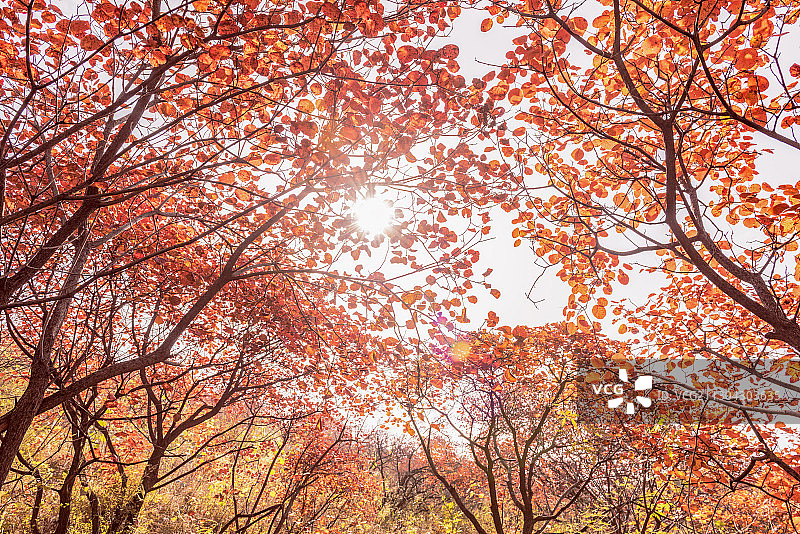 中国河南省巩义市长寿山风景区图片素材