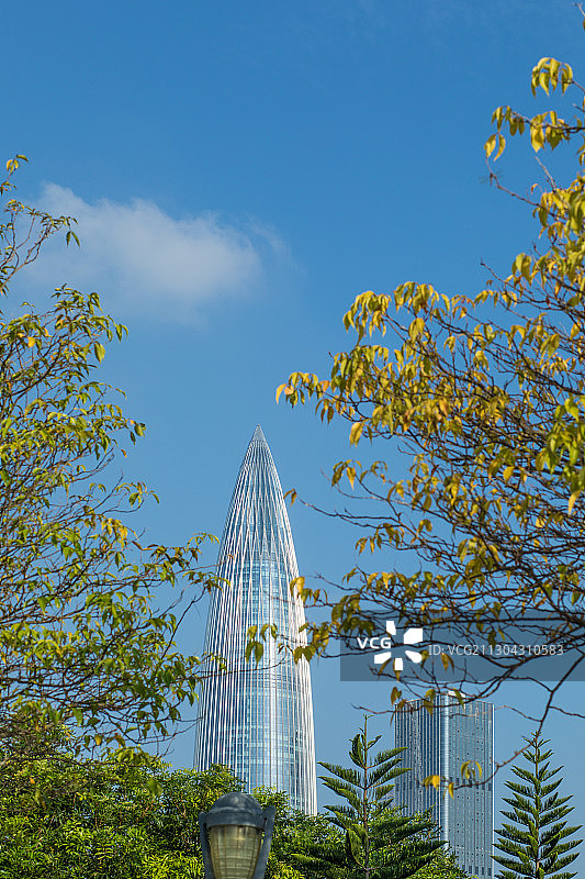 深圳湾的秋天-春笋2020101134图片素材