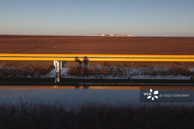 2020年10月16日辽宁盘锦红海滩风光图片素材