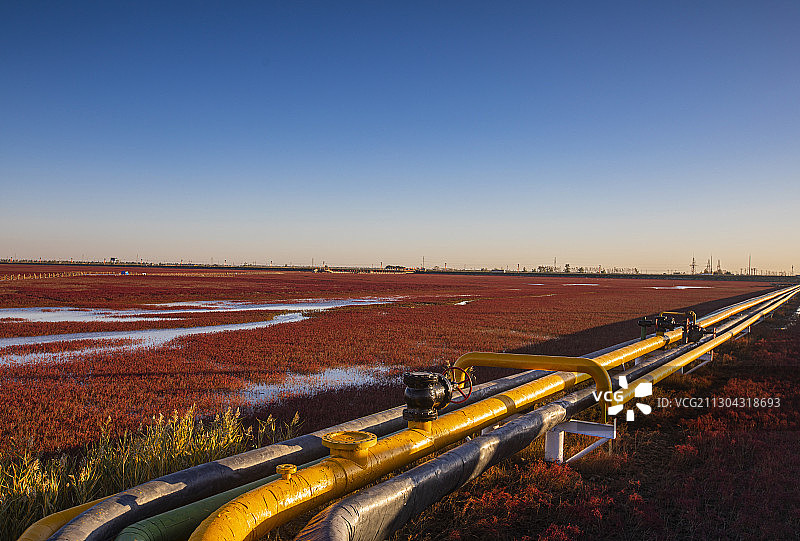 2020年10月16日辽宁盘锦红海滩风光图片素材