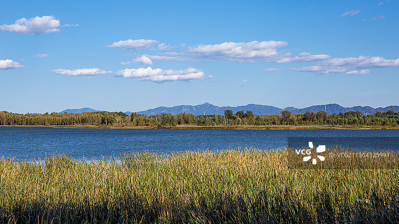 野鸭湖的秋天图片素材