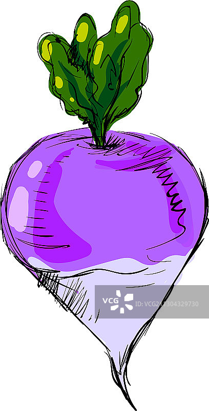 白色背景上的涂料萝卜图片素材