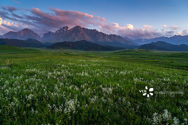 新疆天山鹿角湾景区高山草原野山花日落图片素材