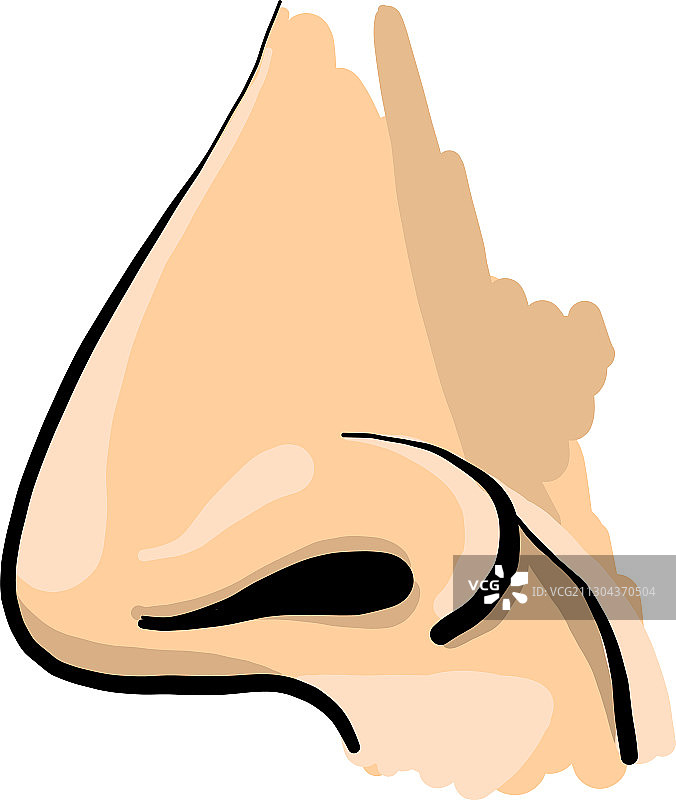 白色背景上的人类鼻子图片素材