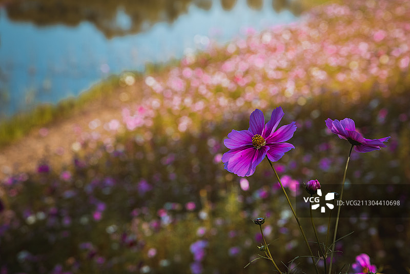 沈阳棋盘山秋季风光图片素材