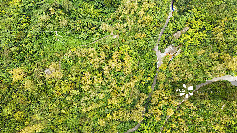贵州遵义：植物园层林尽染 迎来赏秋季图片素材