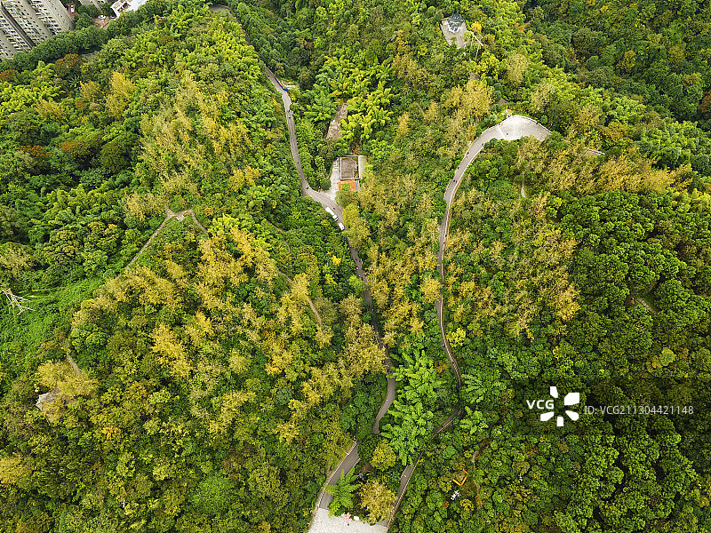 贵州遵义：植物园层林尽染 迎来赏秋季图片素材