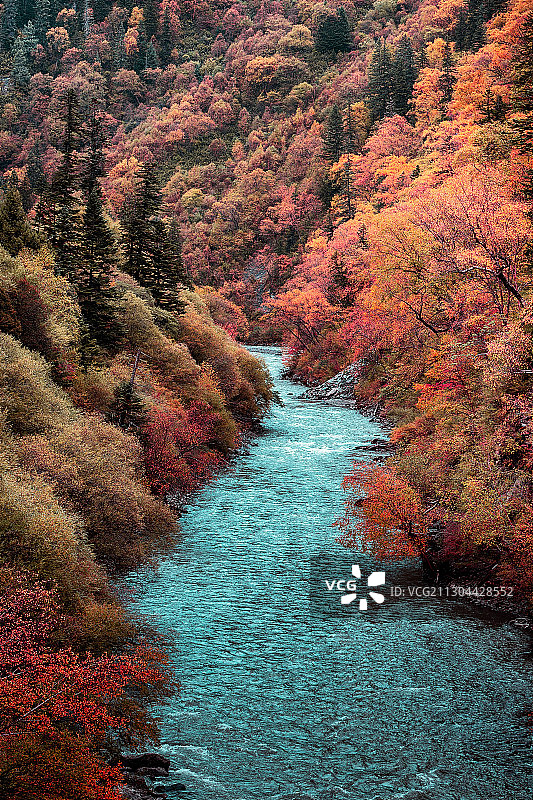 四川阿坝米亚罗风光图片素材