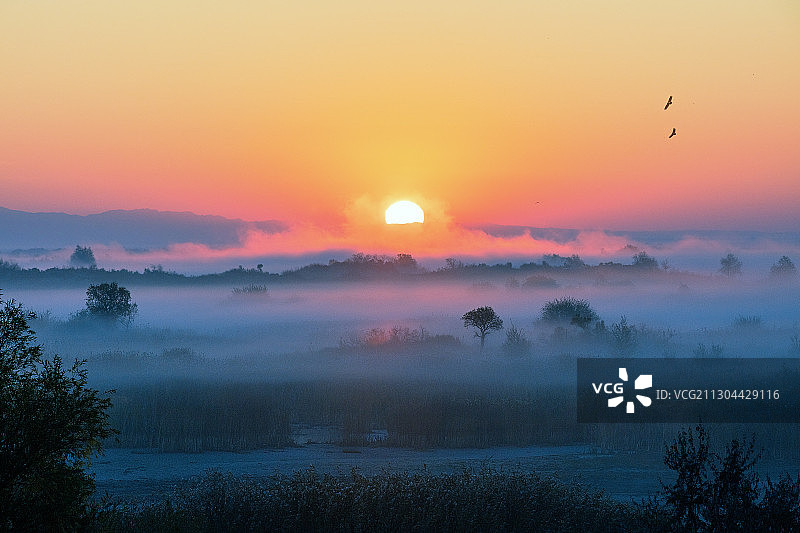 新疆布尔津湿地风光图片素材