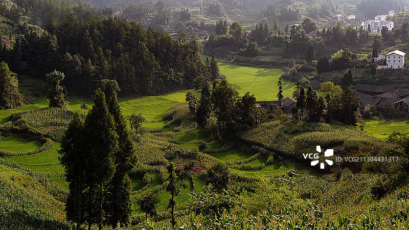 重庆山村美丽风光—石柱县黄水图片素材