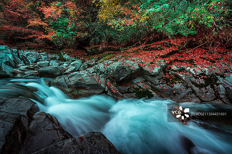 四川省南江县光雾山秋色图片素材