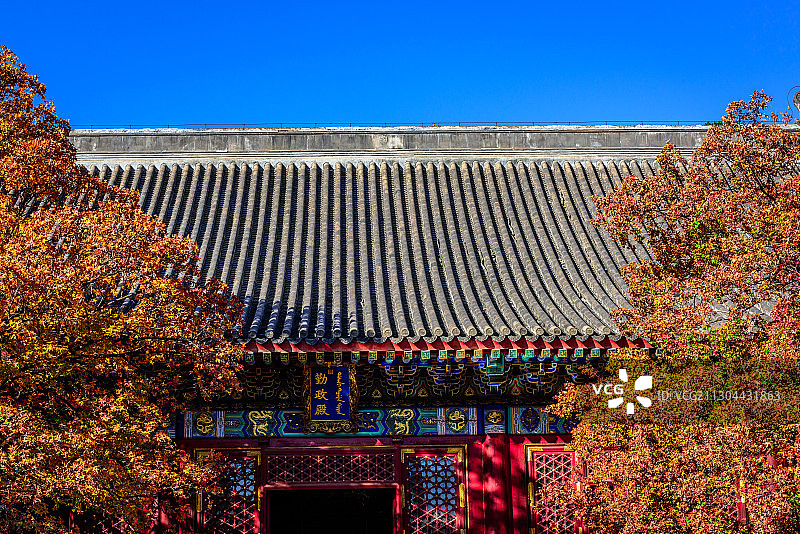《秋艳香山》图片素材
