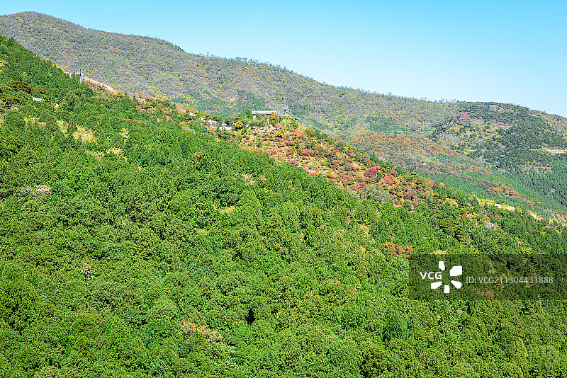 《秋艳香山》图片素材