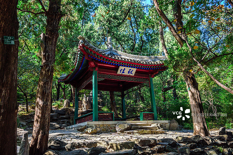 《秋艳香山》图片素材