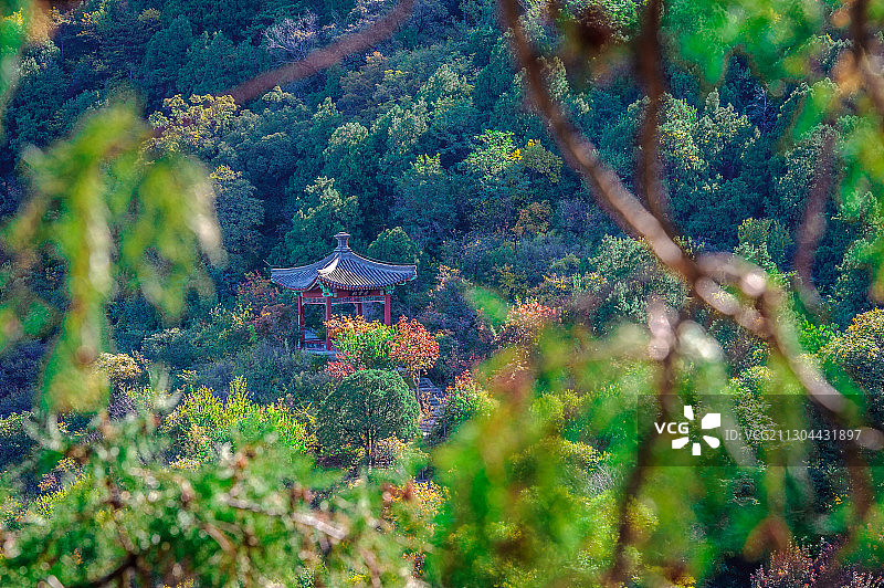 《秋艳香山》图片素材