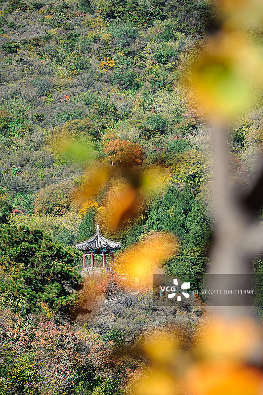 《秋艳香山》图片素材