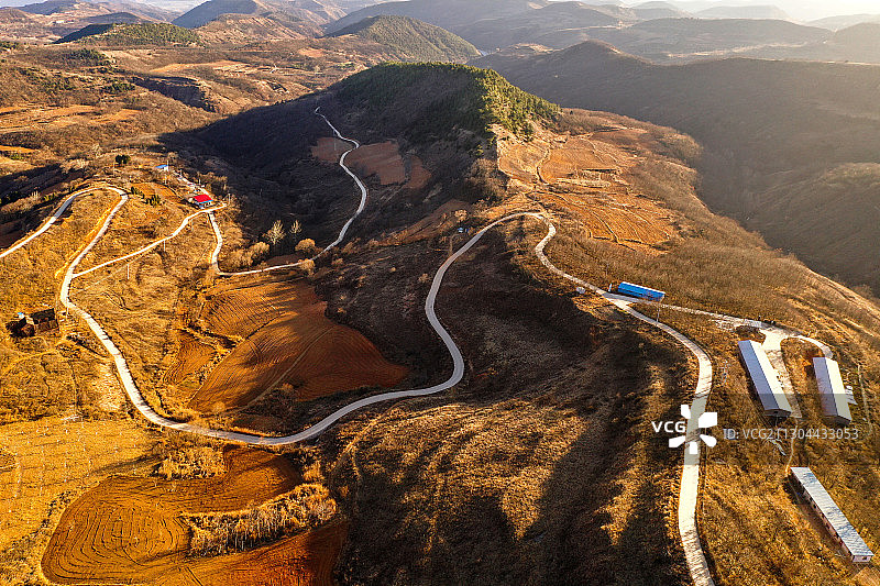 金色原野上的乡村公路图片素材