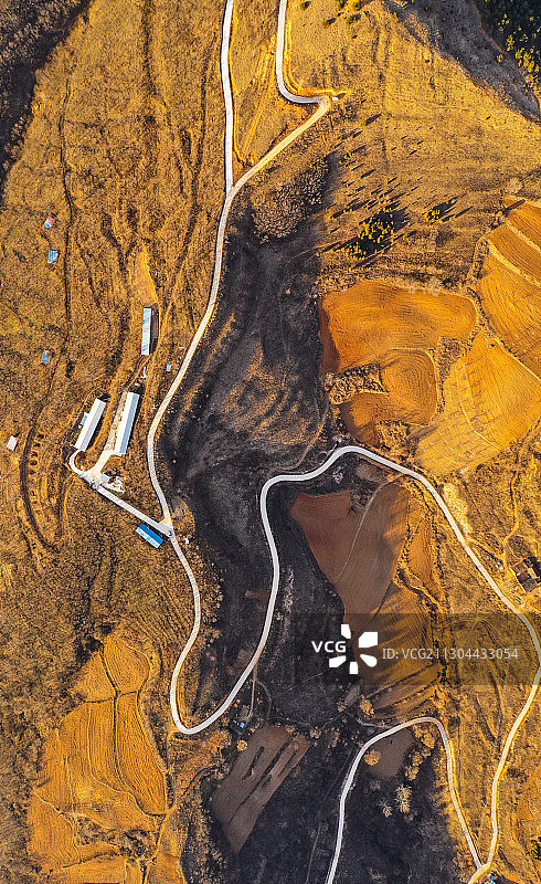 金色原野上的乡村公路图片素材