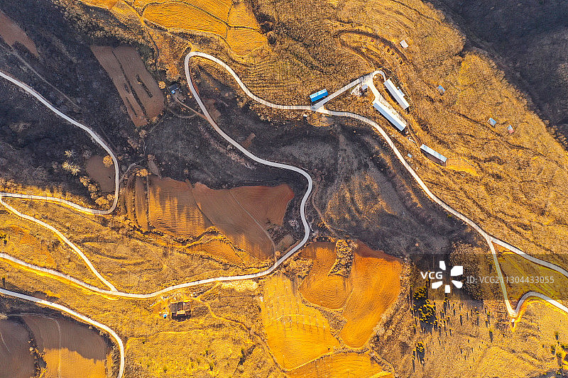 金色原野上的乡村公路图片素材