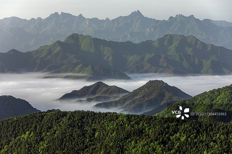 伏牛山的早晨图片素材