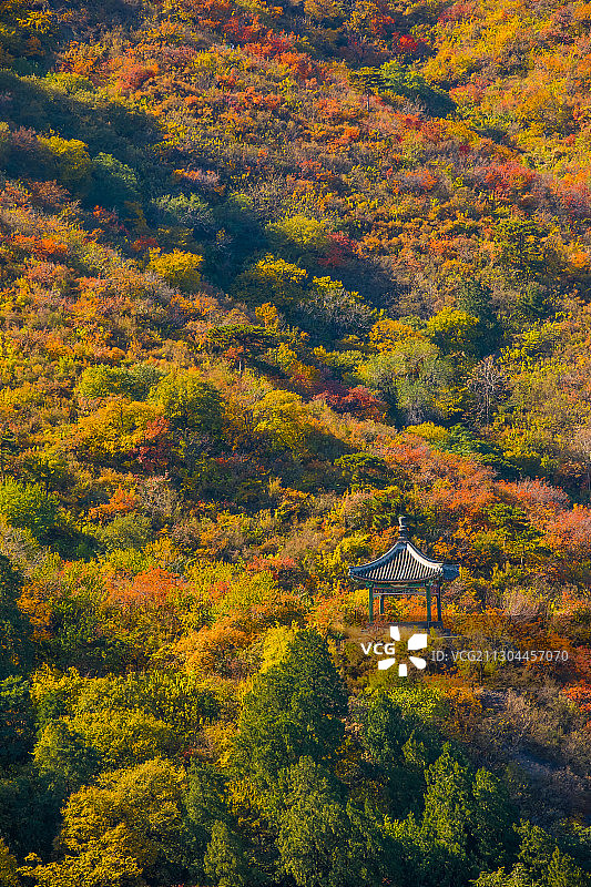 北京香山公园秋色图片素材